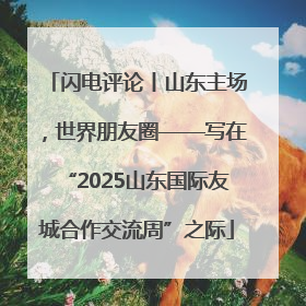 闪电评论丨山东主场，世界朋友圈——写在“2025山东国际友城合作交流周”之际