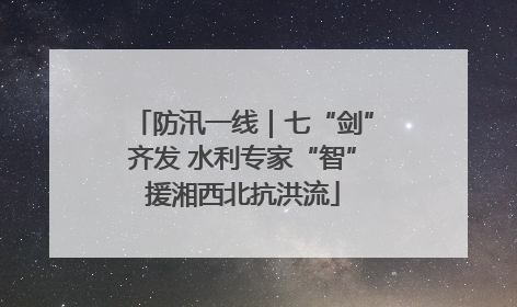 防汛一线｜七“剑”齐发 水利专家“智”援湘西北抗洪流