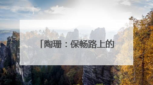 陶珊：保畅路上的“最强大脑”｜走进新时代“雷锋传人 长沙榜样”