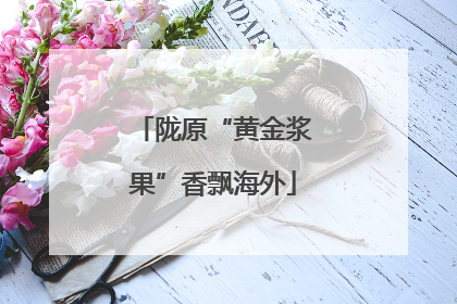 陇原“黄金浆果”香飘海外