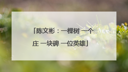 陈文彬：一棵树 一个庄 一块碑 一位英雄