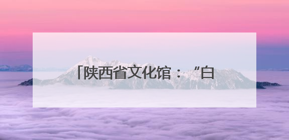 陕西省文化馆：“白+黑”“馆+景”，文化供给向美而聚
