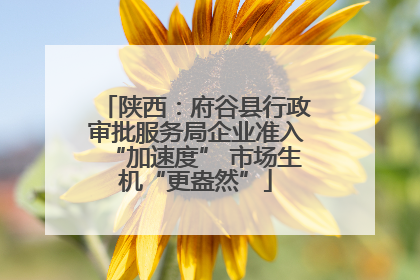 陕西：府谷县行政审批服务局企业准入“加速度” 市场生机“更盎然”