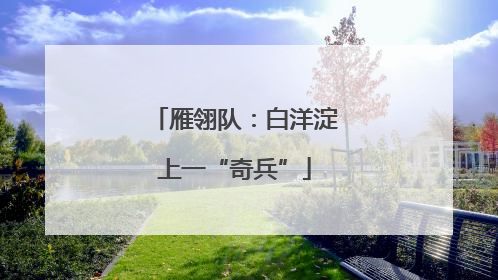 雁翎队：白洋淀上一“奇兵”