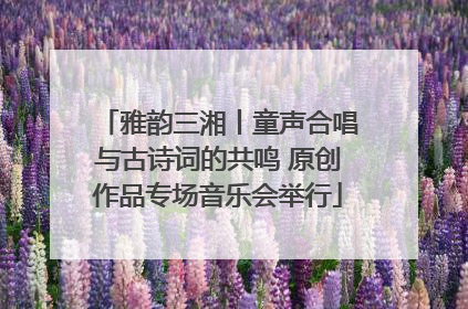 雅韵三湘丨童声合唱与古诗词的共鸣 原创作品专场音乐会举行
