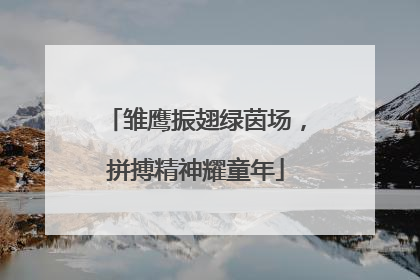 雏鹰振翅绿茵场，拼搏精神耀童年
