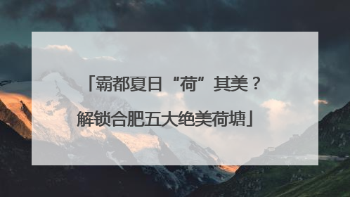 霸都夏日“荷”其美？解锁合肥五大绝美荷塘