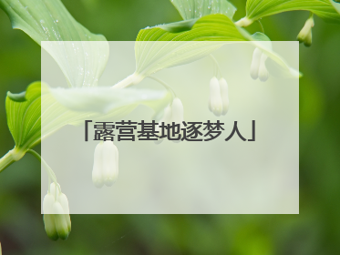露营基地逐梦人