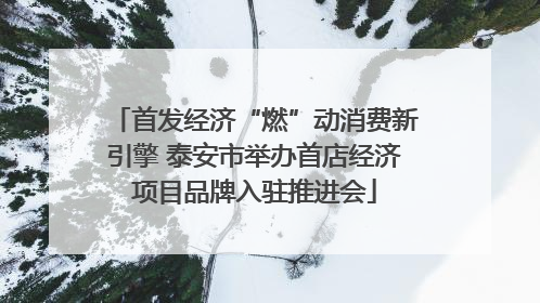 首发经济“燃”动消费新引擎 泰安市举办首店经济项目品牌入驻推进会