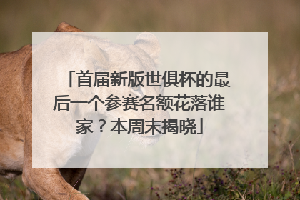 首届新版世俱杯的最后一个参赛名额花落谁家？本周末揭晓