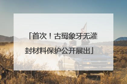 首次！古蜀象牙无灌封材料保护公开展出