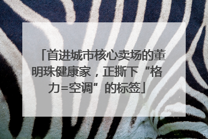 首进城市核心卖场的董明珠健康家，正撕下“格力=空调”的标签
