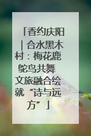 香约庆阳｜合水黑木村：梅花鹿鸵鸟共舞 文旅融合绘就“诗与远方”