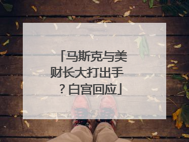 马斯克与美财长大打出手？白宫回应