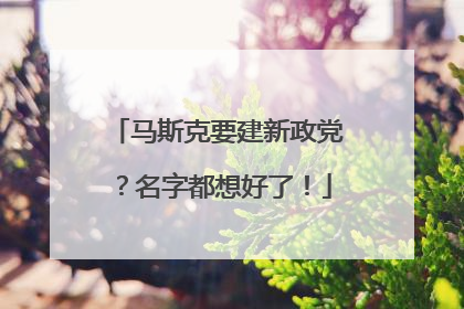 马斯克要建新政党？名字都想好了！