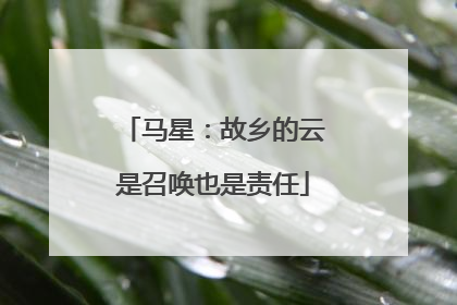 马星：故乡的云是召唤也是责任