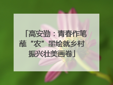 高安勤：青春作笔蘸“农”墨绘就乡村振兴壮美画卷