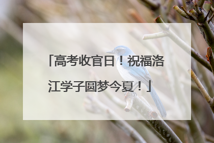 高考收官日！祝福洛江学子圆梦今夏！