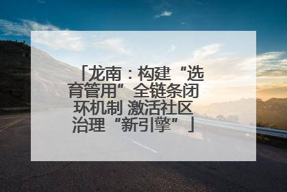 龙南：构建“选育管用”全链条闭环机制 激活社区治理“新引擎”