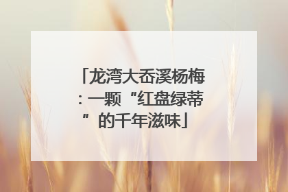 龙湾大岙溪杨梅：一颗“红盘绿蒂”的千年滋味