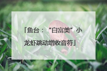 鱼台：“白富美”小龙虾跳动增收音符