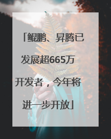 鲲鹏、昇腾已发展超665万开发者，今年将进一步开放