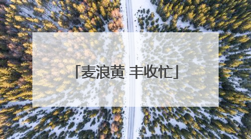 麦浪黄 丰收忙