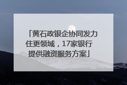 黄石政银企协同发力住更领域，17家银行提供融资服务方案