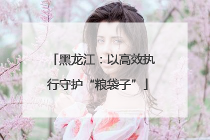 黑龙江：以高效执行守护“粮袋子”