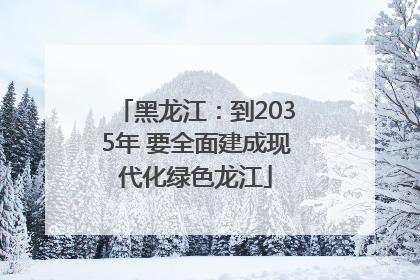 黑龙江：到2035年 要全面建成现代化绿色龙江