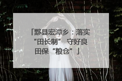 黟县宏潭乡：落实“田长制” 守好良田保“粮仓”