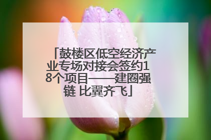 鼓楼区低空经济产业专场对接会签约18个项目——建圈强链 比翼齐飞