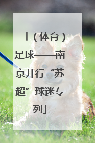 （体育）足球——南京开行“苏超”球迷专列