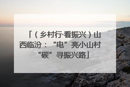 （乡村行·看振兴）山西临汾：“电”亮小山村 “碳”寻振兴路