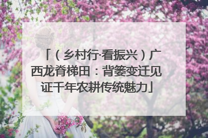 （乡村行·看振兴）广西龙脊梯田：背篓变迁见证千年农耕传统魅力