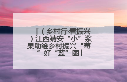 （乡村行·看振兴）江西靖安“小”浆果助绘乡村振兴“莓”好“蓝”图