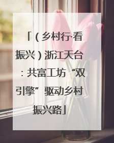 （乡村行·看振兴）浙江天台：共富工坊“双引擎”驱动乡村振兴路
