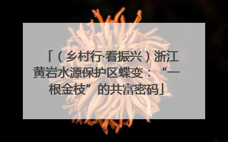 （乡村行·看振兴）浙江黄岩水源保护区蝶变：“一根金枝”的共富密码