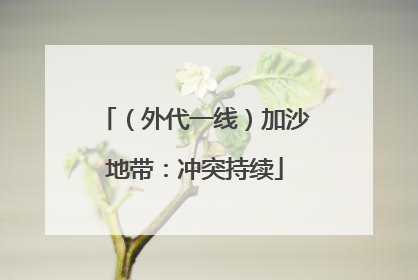 （外代一线）加沙地带：冲突持续