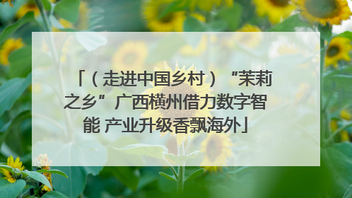 （走进中国乡村）“茉莉之乡”广西横州借力数字智能 产业升级香飘海外