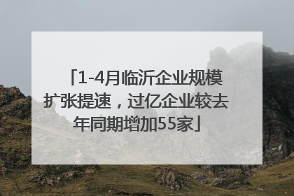 1-4月临沂企业规模扩张提速，过亿企业较去年同期增加55家