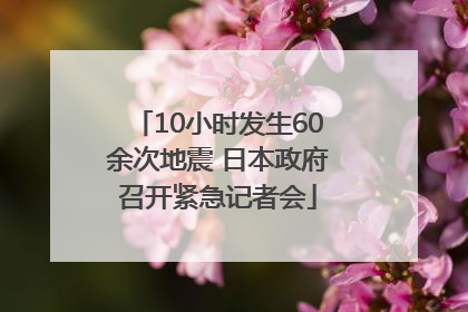 10小时发生60余次地震 日本政府召开紧急记者会