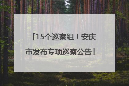 15个巡察组！安庆市发布专项巡察公告