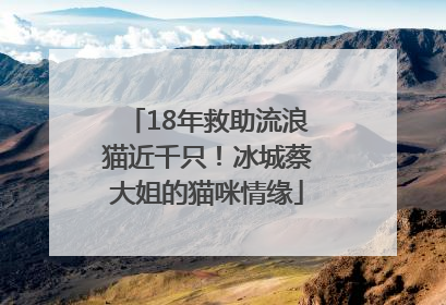 18年救助流浪猫近千只！冰城蔡大姐的猫咪情缘