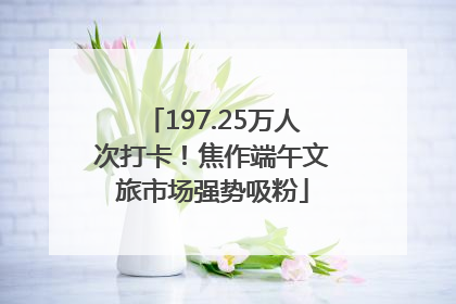 197.25万人次打卡！焦作端午文旅市场强势吸粉