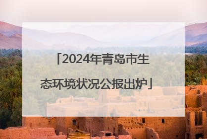 2024年青岛市生态环境状况公报出炉