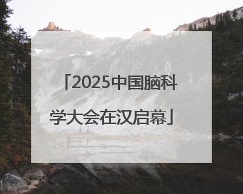 2025中国脑科学大会在汉启幕