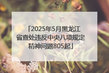 2025年5月黑龙江省查处违反中央八项规定精神问题805起