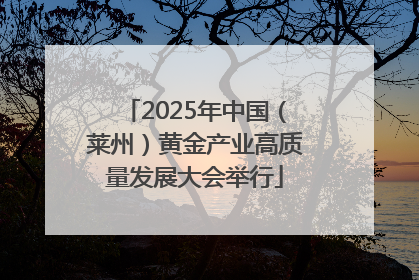 2025年中国（莱州）黄金产业高质量发展大会举行