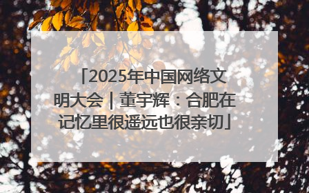 2025年中国网络文明大会｜董宇辉：合肥在记忆里很遥远也很亲切